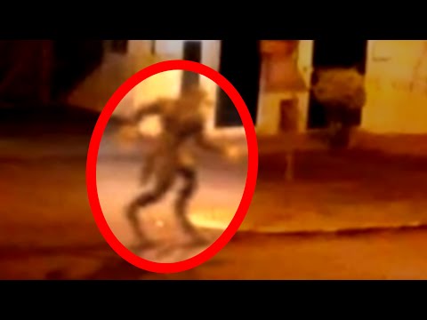 20 Mysterious Creatures Caught on Tape