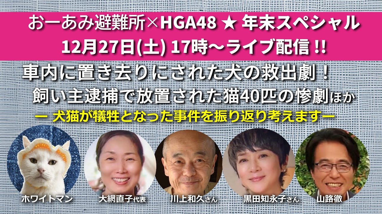 年末スペシャル2025「おーあみ避難所 × HGA48」置き去りにされた犬猫たち