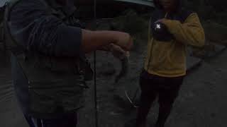 Steelhead Fishing the Rocky River in October