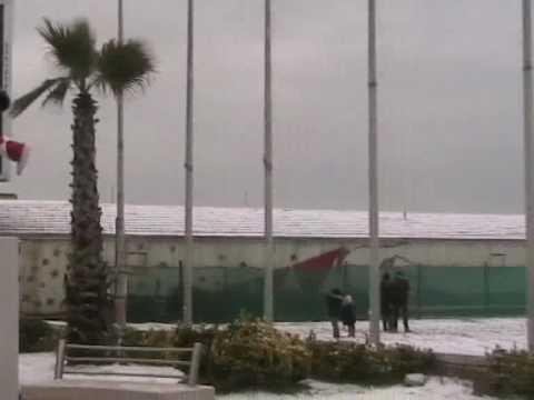 Neve a Viareggio - video riassuntivo della notte magica