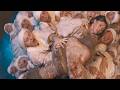 Dracula A Love Tale 2025 Movie Explained In Hindi Urdu Summarized Dracula Summarized हिन्द