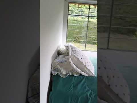 Fincas y Casas Campestres, Venta, Dagua