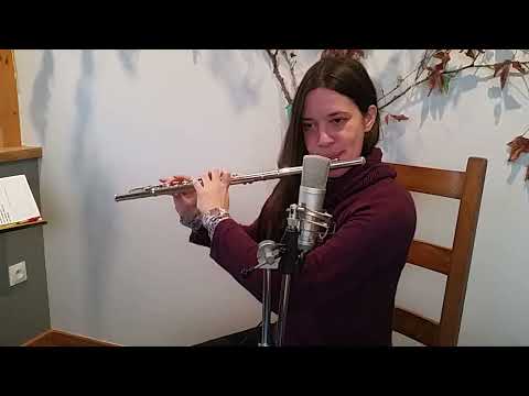 Irish Music on Silver Flute  :  Tommy Peoples , The Windmill & Fintan McManus's (reels)