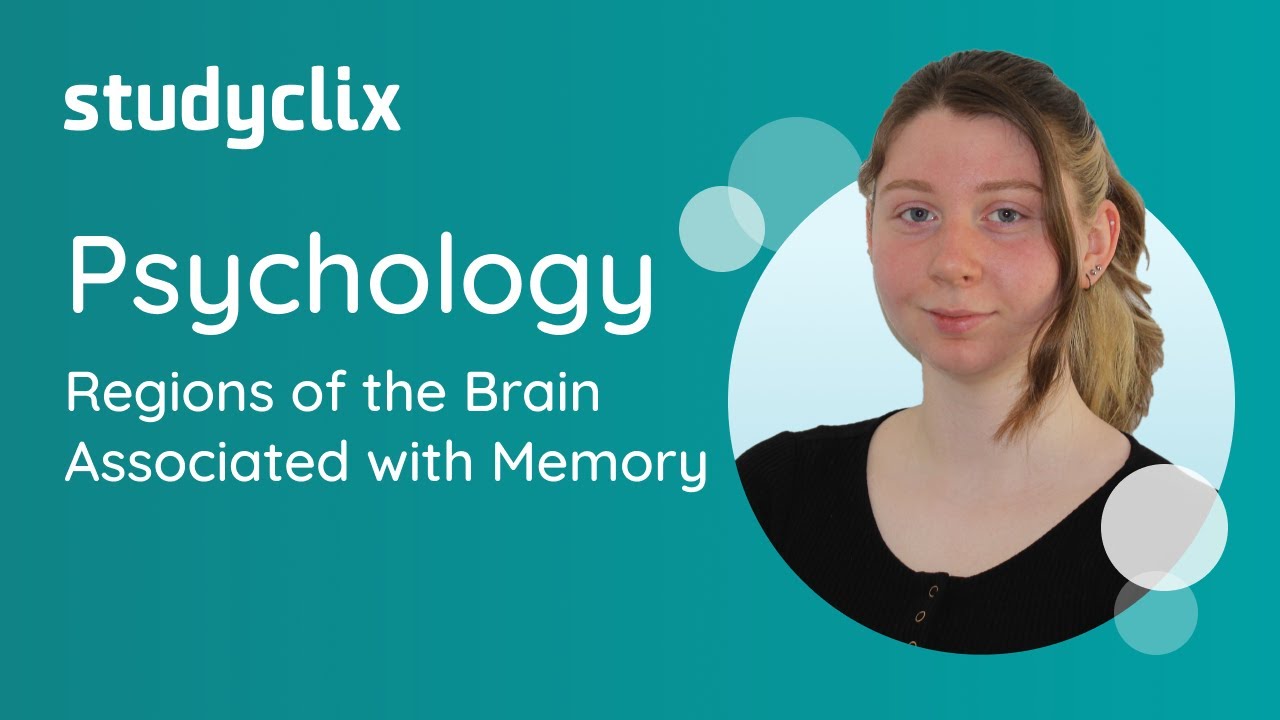VCE Psychology: Regions of the Brain Associated with Memory