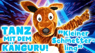 Kleiner Schmetterling Lyrics  Translation