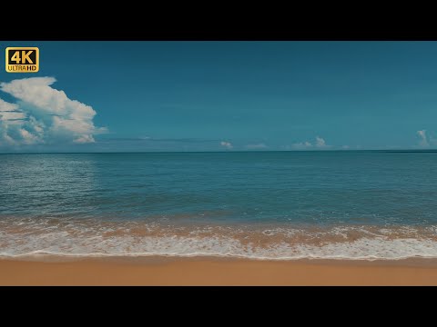 Softest Beach Sounds from the Tropics - Ocean Wave Sounds for Sleeping, Yoga, Meditation, Study