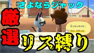 【住民厳選/リス縛り】ジャックとお別れをして離島ガチャをやった結果…メンタルブレイクした。【あつまれどうぶつの森】【あつ森】