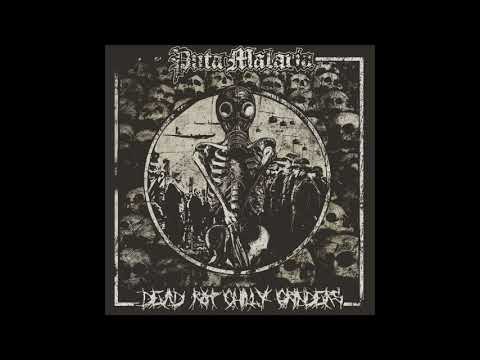Puta Malaria / Dead Rot Chilly Grinders - Split [2019 Raw Grindcore / Crust]
