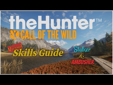 Skills: Stalker & Ambusher - A Visual Guide (theHunter: Call of the Wild)