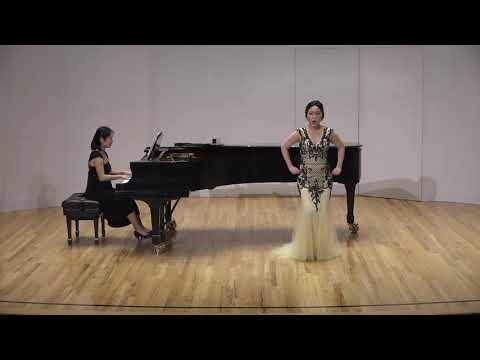 Donizetti   “E lindo e civettin questo caro alberguccio” from Rita