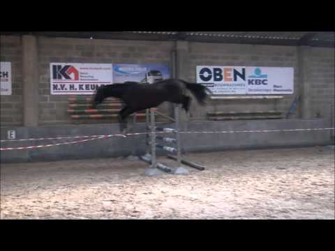 VERKOCHT - SOLD - VENDU Fantomas de muze x grandeur x lys de darmen