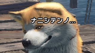 全然助けてくれないオトモガルク。【MHSB:モンスターハンターライズ:サンブレイク】