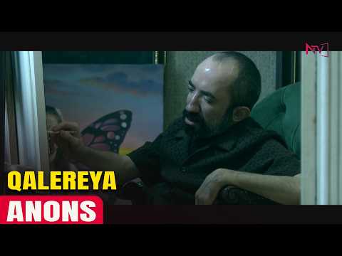 ANONS - QALEREYA