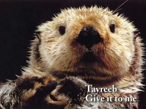 Tayreeb - Give it to me (instrumental)