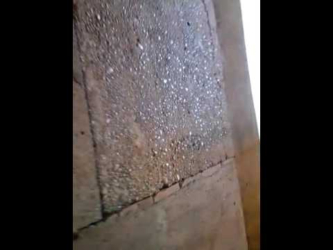 Zully a minha gata...gatinha