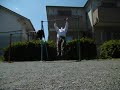 Reverse Grip 35 Muscle ups  逆手マッスルアップ35回