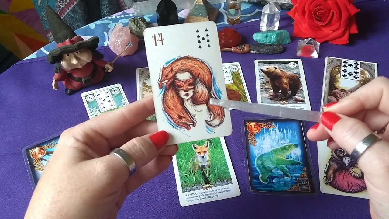 🦊🐻Cartas 14 e 15 Raposa e Urso. Arte do Baralho cigano📚Significados