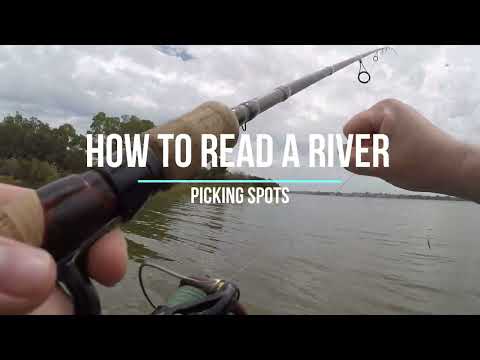 River Fishing 101: Where to Find Fish