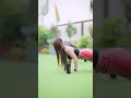 Whatsapp Status Shorts Whatsapp Status Girl Cutegirlstatus Lovestory Viral Dance New 202