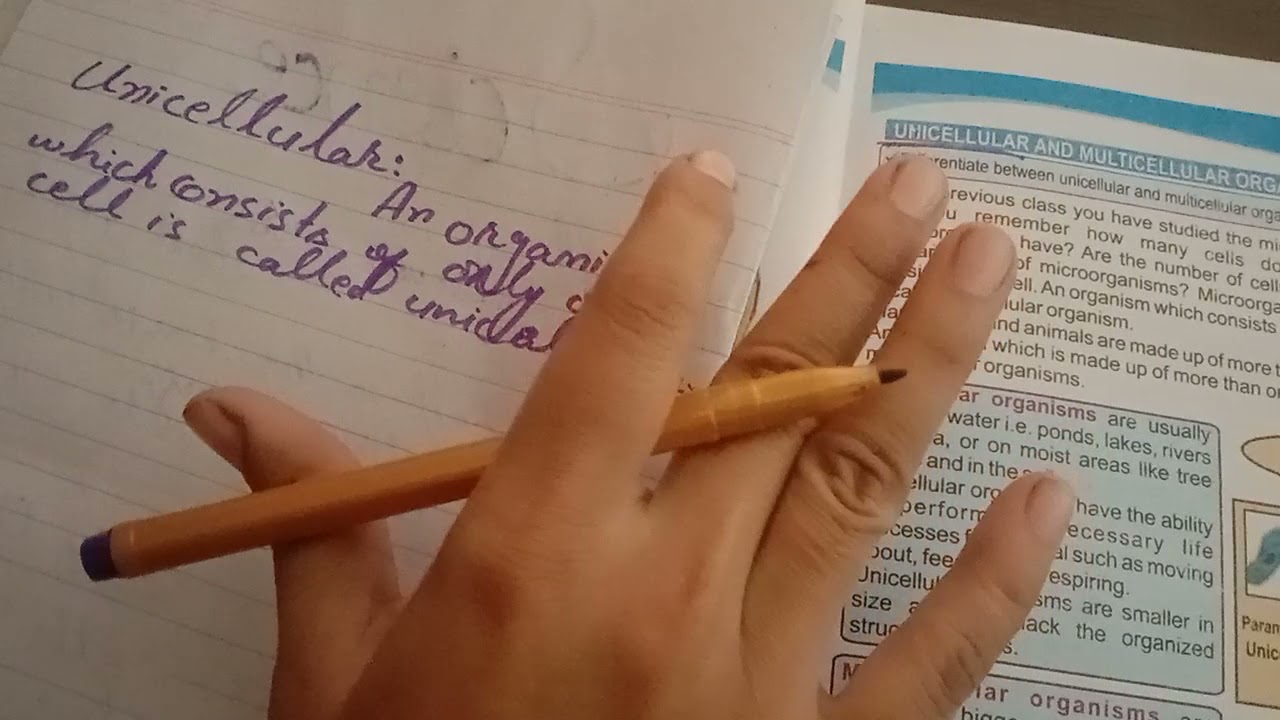 What is Unicellular Organism | 6 Grade  Science Book | Definition and Examples