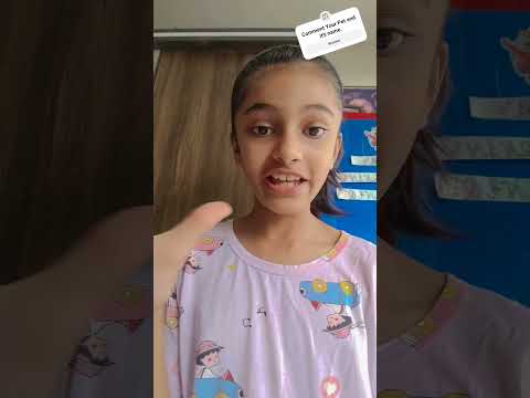 Nirvi is with her birds in vlog