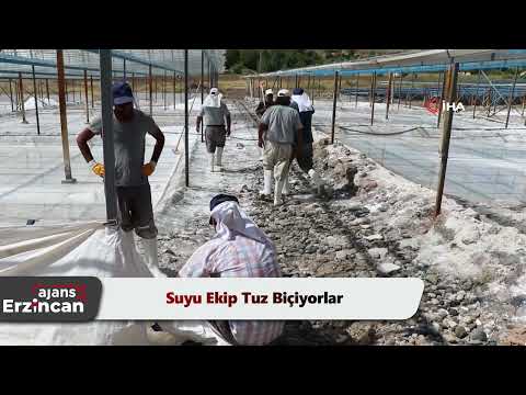 Suyu Ekip Tuz Biçiyorlar