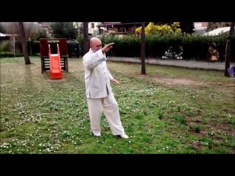 Taijiquan Water style with M° Raffaele Tassone
