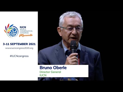 Bruno Oberle- Speaking at IUCN World Conservation Congress