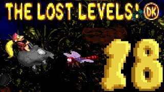 Donkey Kong Country 2: The Lost Levels 100% - Part 18 (Final)