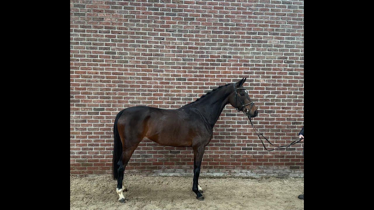 Rosaline's Utopia (DANTE US x LANCELOT) video 2