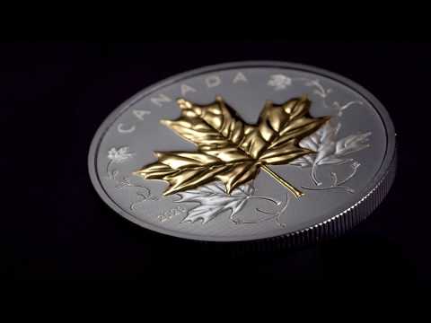 5 oz. Pure Silver Coin with Rodium – Maple Leaves in Motion – Mintage: 1,000 (2020)