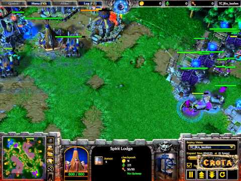 Lyn (Orc) vs Th000 (HU) - G2 - WarCraft 3 - WC528