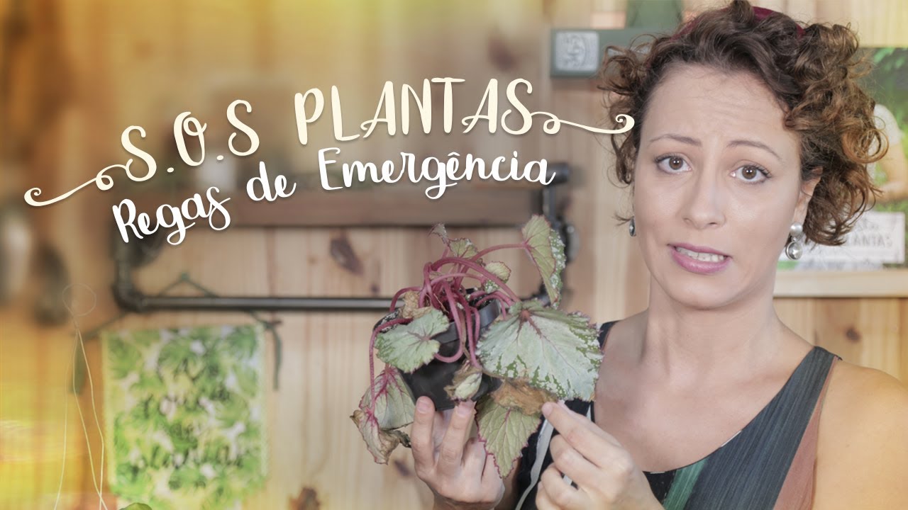 Como SALVAR PLANTAS MURCHAS com a REGA de EMERGÊNCIA