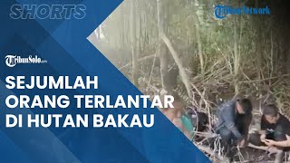Viral Video Sejumlah Orang Terlantar di Sebuah Hutan Bakau di Pulau Geronggang Rantau Prapat