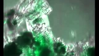 Silent Servant - Lust Abandon (Powell Remix) - Jealous God 03