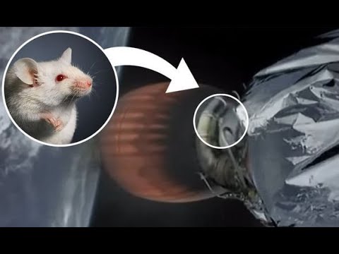 에와라논 시리즈 2부 - 지도와 마술사에 대해서