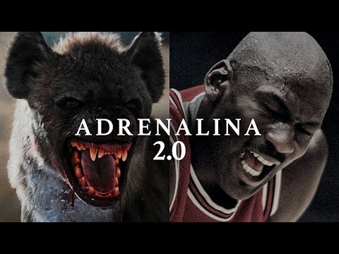 ADRENALINA PURA II - Poderosos Discursos Motivacionales