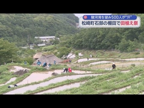 YouTube Video 「つなぐ棚田遺産１００選」に指定  荒れた棚田を復田しオーナー制度を進めた石部の棚田で田植え祭が行われる　静岡・松崎町