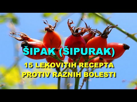 ŠIPAK (ŠIPURAK) - 15 LEKOVITIH RECEPTA PROTIV RAZNIH BOLESTI
