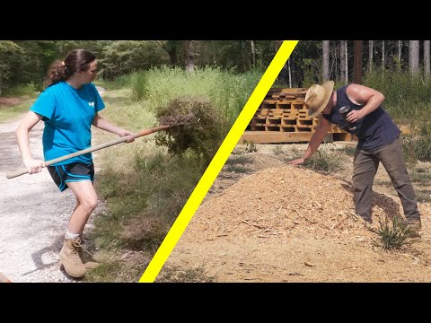 Day 505 - Reviving the Wood Chipper & Gathering Greens for Next Year's Compost