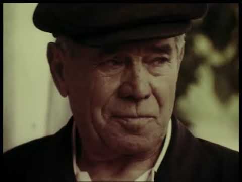 СЕЛЬСКИЙ ОРКЕСТР. 1984р. УкрКіноХроніка