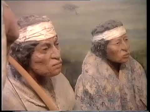 51 1993 De wereld van Boudewijn Büch   Chili