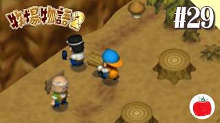 【実況】牧場物語2を初見で遊ぶいも【#29】