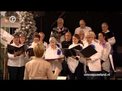 De Winterfair in Heinkenszand 2013