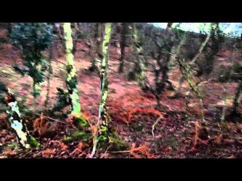 Starclad by Lauren Howard