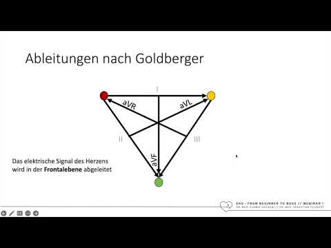 EKG - From Beginner To Boss | Teil 1 | Basics - mit Dr. Sebastian Feickert