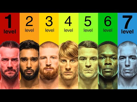 The 7 Levels of UFC Fighter