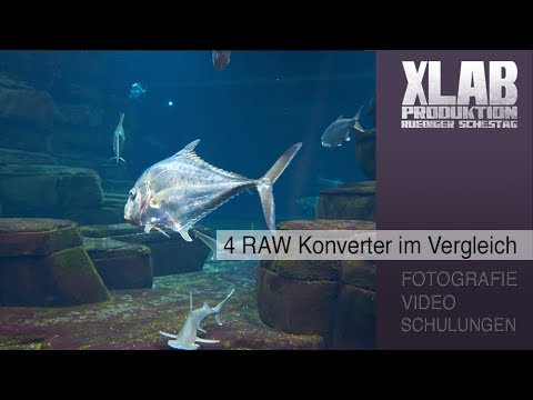 4 RAW Konverter im Vergleich
