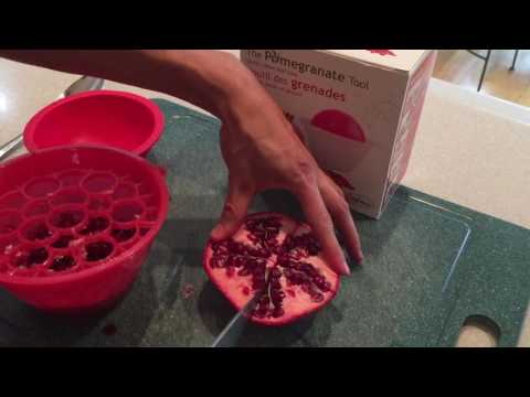 download lagu mp3 mp4 Pomegranate Tool, download lagu Pomegranate Tool gratis, unduh video klip Pomegranate Tool