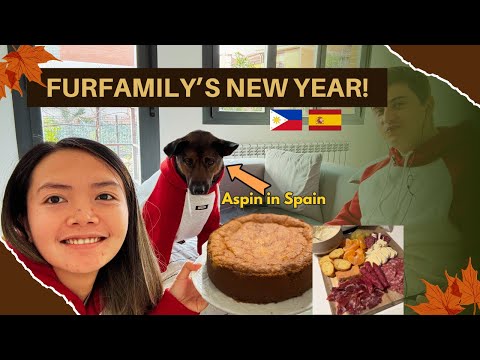 Our Aspin's🐾 first new year in Spain | Filipina-Aspin-Spanish Furfamliy